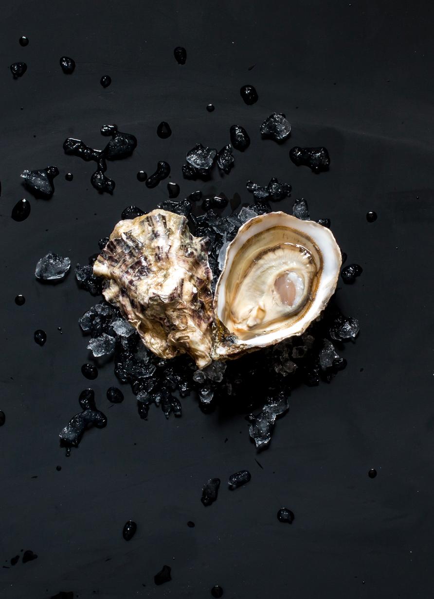 Oysters (French and Dutch)