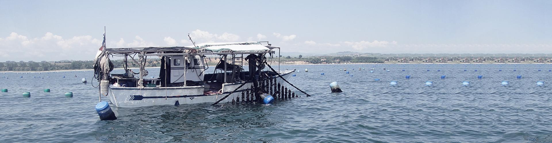 Barca in mare che pesca per conchiglie