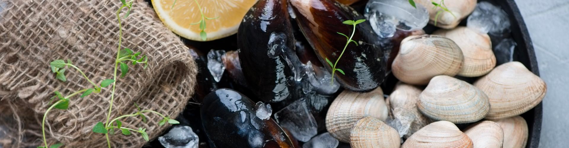 Shells, lemon and ice